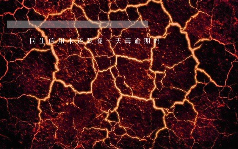 民生信用卡还款晚一天算逾期吗