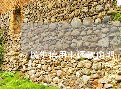 民生信用卡还款逾期一小时 民生信用卡还款逾期一小时