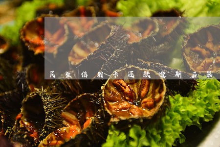 民生信用卡还款逾期后果 民生信用卡还款逾期后果