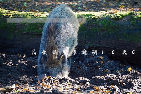 民生信用卡逾期10天6 民生信用卡逾期10天6