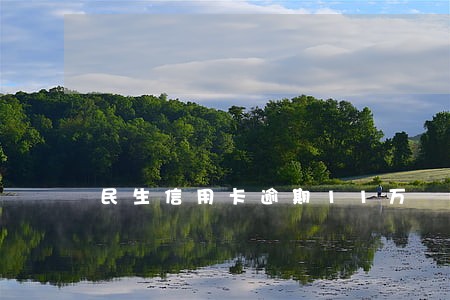 民生信用卡逾期11万 民生信用卡逾期11万