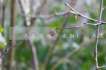 民生信用卡逾期11天怎么办