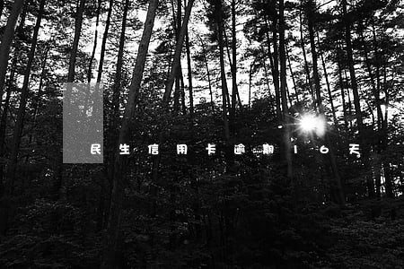 民生信用卡逾期16天