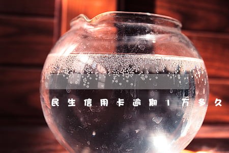 民生信用卡逾期1万多久 民生信用卡逾期1万多久