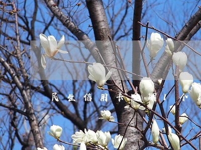 民生信用卡逾期1个月了 民生信用卡逾期1个月了