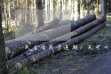 民生信用卡逾期1天可以吗 民生信用卡逾期1天可以吗