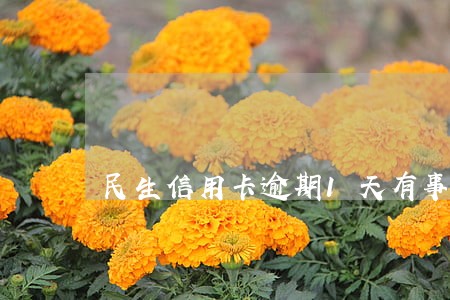 民生信用卡逾期1天有事吗 民生信用卡逾期1天有事吗