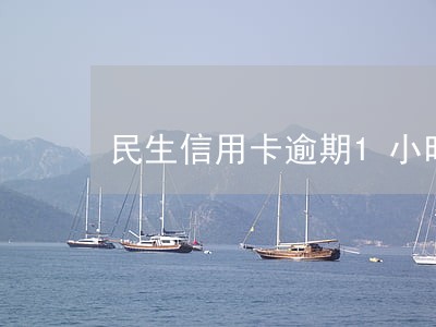 民生信用卡逾期1小时 民生信用卡逾期1小时
