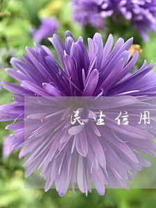 民生信用卡逾期1年滞纳金多
