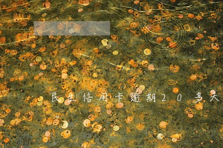 民生信用卡逾期20多天怎么办