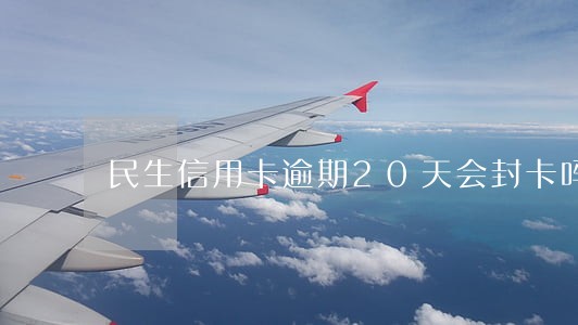 民生信用卡逾期20天会封卡吗 民生信用卡逾期20天会封卡吗