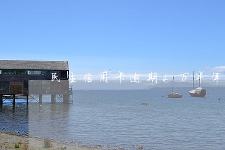 民生信用卡逾期2万半年 民生信用卡逾期2万半年