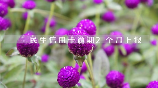 民生信用卡逾期2个月上报 民生信用卡逾期2个月上报