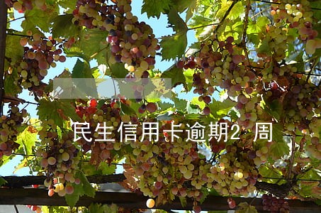 民生信用卡逾期2周 民生信用卡逾期2周