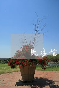民生信用卡逾期2天会征信吗