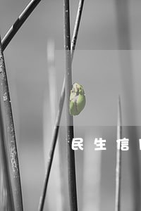 民生信用卡逾期2天怎么办 民生信用卡逾期2天怎么办