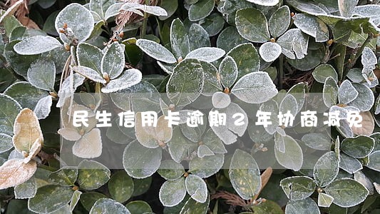 民生信用卡逾期2年协商减免