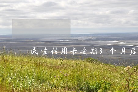 民生信用卡逾期3个月后果 民生信用卡逾期3个月后果