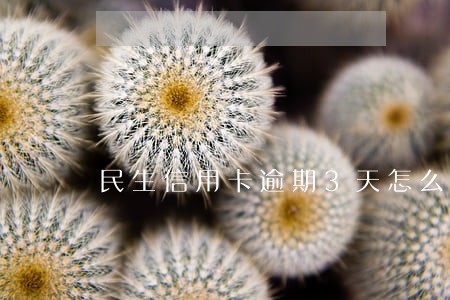 民生信用卡逾期3天怎么办 民生信用卡逾期3天怎么办