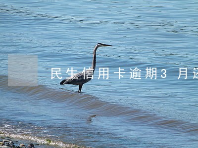 民生信用卡逾期3月还能开卡吗