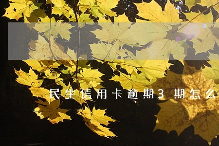 民生信用卡逾期3期怎么办 民生信用卡逾期3期怎么办