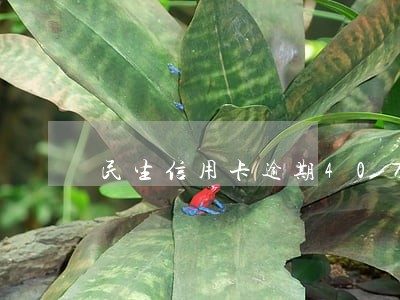 民生信用卡逾期40万4年了 民生信用卡逾期40万4年了