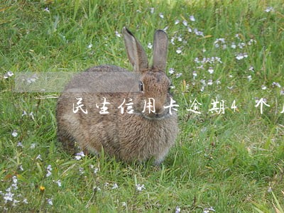 民生信用卡逾期4个月打电话