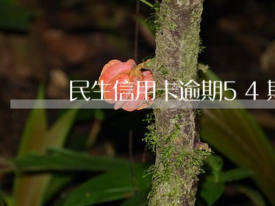 民生信用卡逾期54期 民生信用卡逾期54期