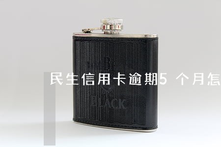 民生信用卡逾期5个月怎么办