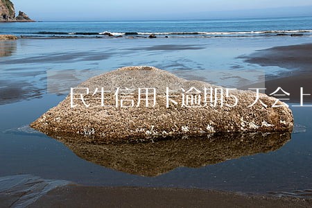 民生信用卡逾期5天会上征信吗