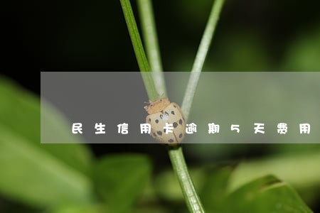 民生信用卡逾期5天费用 民生信用卡逾期5天费用