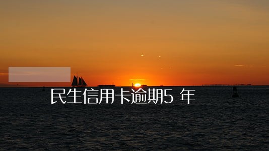 民生信用卡逾期5年