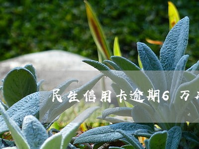 民生信用卡逾期6万本金怎么办 民生信用卡逾期6万本金怎么办