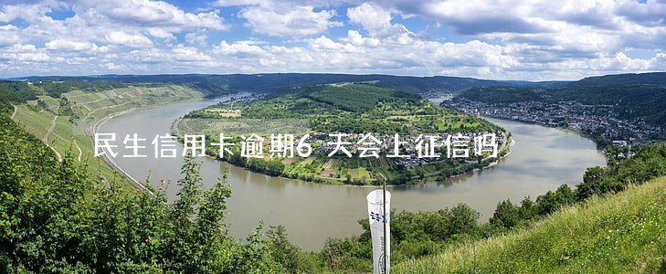 民生信用卡逾期6天会上征信吗