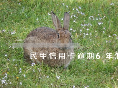 民生信用卡逾期6年怎么协商 民生信用卡逾期6年怎么协商