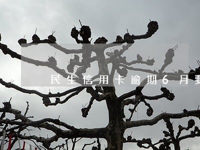 民生信用卡逾期6月要起诉我 民生信用卡逾期6月要起诉我
