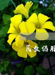 民生信用卡逾期84天 民生信用卡逾期84天