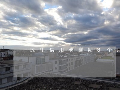 民生信用卡逾期8个月会坐牢吗