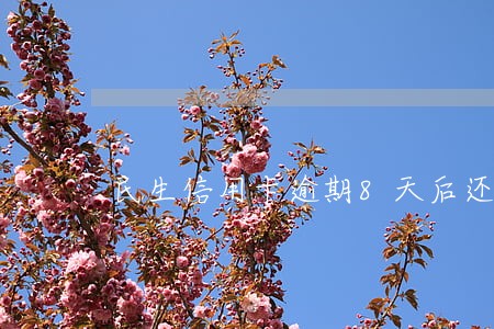 民生信用卡逾期8天后还清 民生信用卡逾期8天后还清