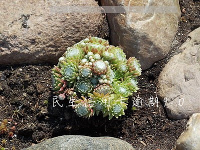 民生信用卡逾期90 民生信用卡逾期90
