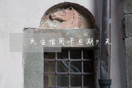 民生信用卡逾期9天 民生信用卡逾期9天