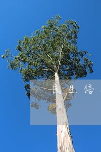 民生信用卡逾期一万说立案