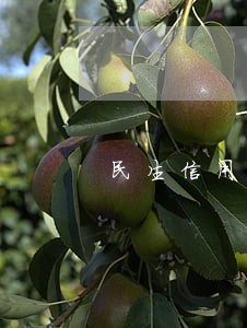 民生信用卡逾期一个月还能用吗