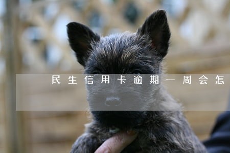 民生信用卡逾期一周会怎么样
