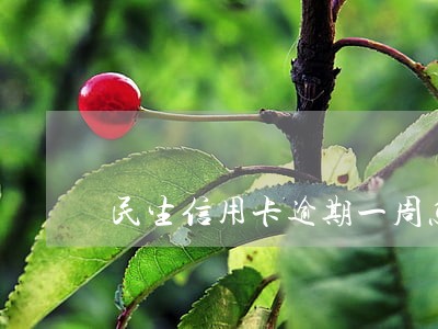 民生信用卡逾期一周怎么办 民生信用卡逾期一周怎么办