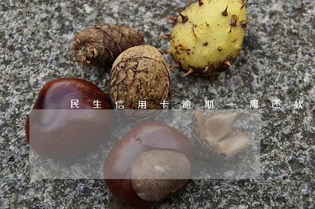 民生信用卡逾期一周还款后果 民生信用卡逾期一周还款后果
