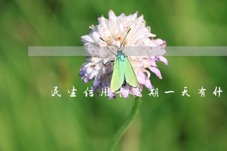 民生信用卡逾期一天有什么后果 民生信用卡逾期一天有什么后果