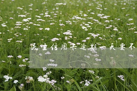 民生信用卡逾期一天要不要紧