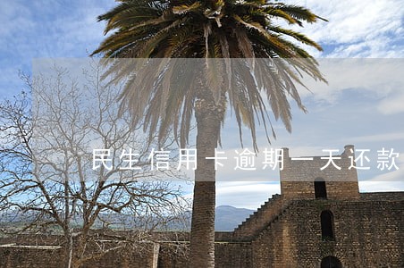 民生信用卡逾期一天还款 民生信用卡逾期一天还款