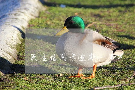 民生信用卡逾期一年半